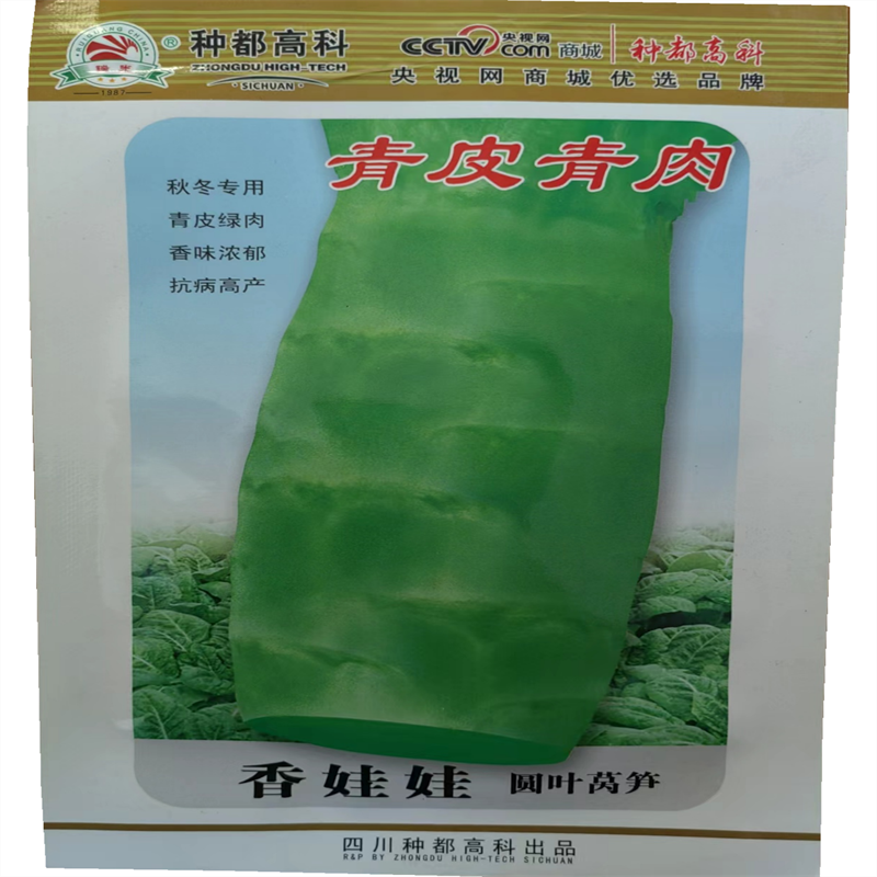 香娃娃莴笋种子圆叶青皮青肉棒粗香脆大耐寒高产秋冬皮薄香味