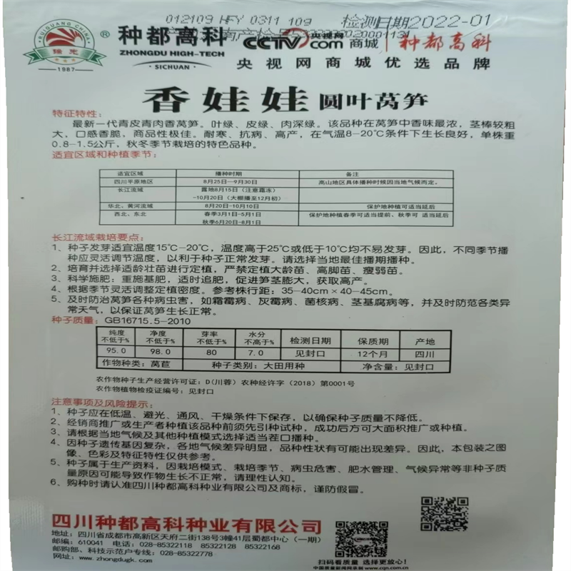 香娃娃莴笋种子圆叶青皮青肉棒粗香脆大耐寒高产秋冬皮薄香味