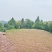 重庆市荣昌区高山村铜鼓镇300亩水果药材用地出ZU