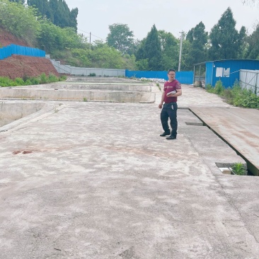 重庆市荣昌区高山村铜鼓镇5亩榨菜地出ZU