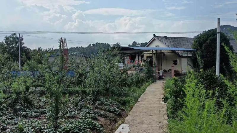 江津区140亩土地流转养猪场鱼塘都有转让130万