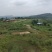 江津区140亩土地流转养猪场鱼塘都有转让130万