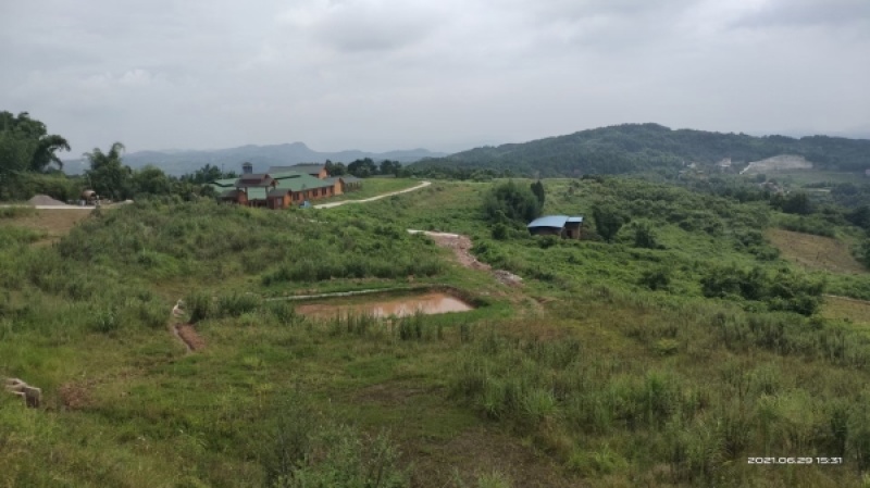 江津区140亩土地流转养猪场鱼塘都有转让130万
