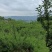 江津区140亩土地流转养猪场鱼塘都有转让130万