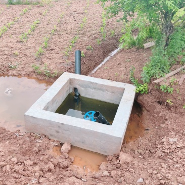 重庆市荣昌区铜鼓镇300亩蔬菜用地出ZU