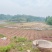 重庆市荣昌区铜鼓镇300亩蔬菜用地出ZU
