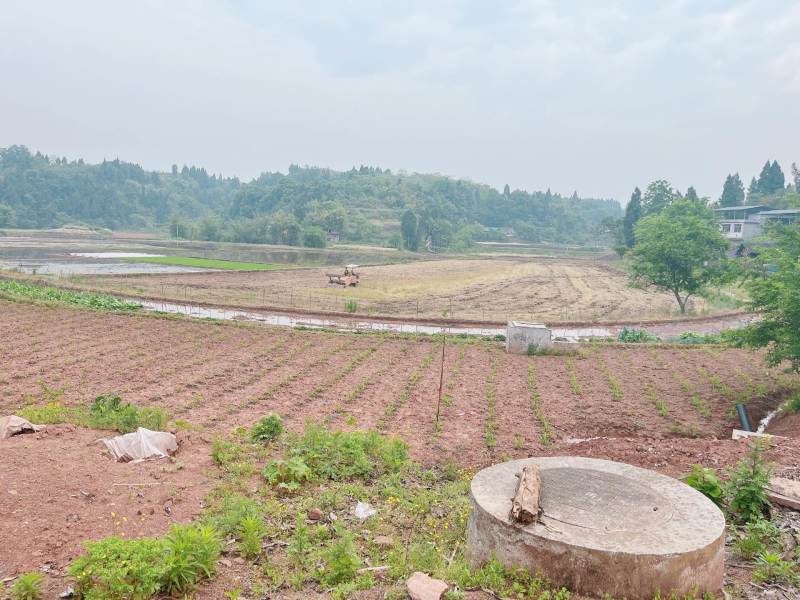 重庆市荣昌区铜鼓镇300亩蔬菜用地出ZU