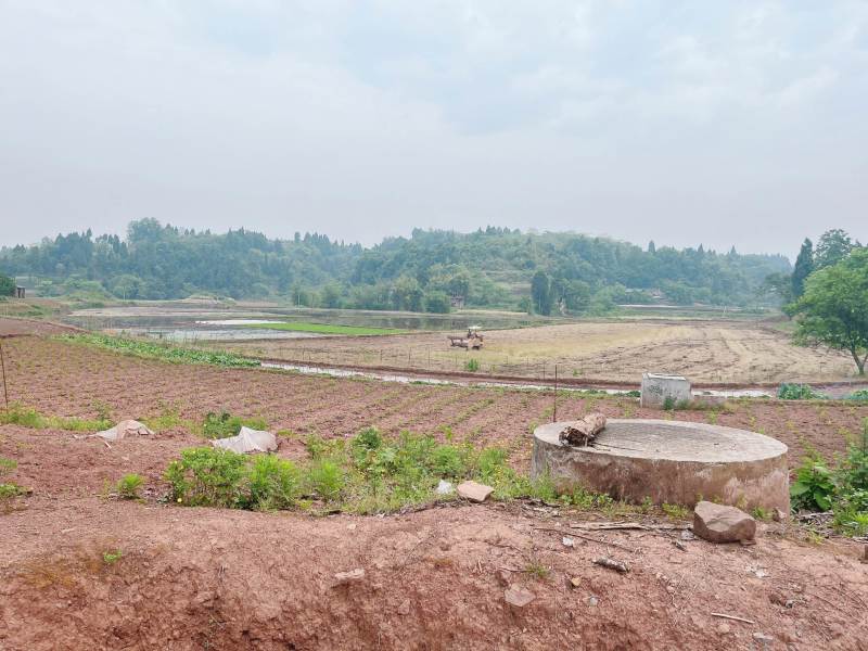 重庆市荣昌区铜鼓镇300亩蔬菜用地出ZU