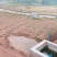 重庆市荣昌区铜鼓镇300亩蔬菜用地出ZU
