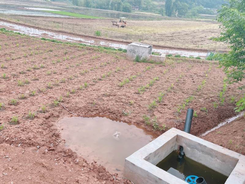 重庆市荣昌区铜鼓镇300亩蔬菜用地出ZU