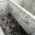 巴南区二圣镇一共7个鱼塘，水源充足，道路直达
