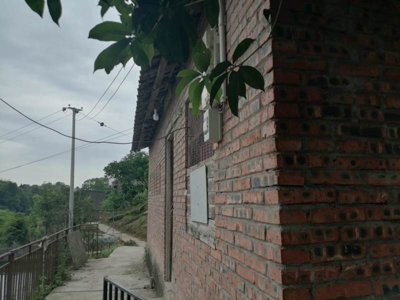 巴南区二圣镇一共7个鱼塘，水源充足，道路直达