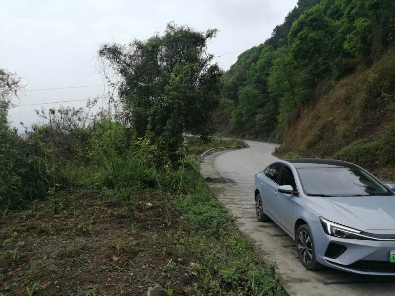 巴南区70亩种植用地，可种植任何水果和林下种植