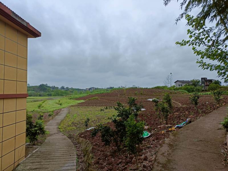 长寿区乡村小别墅一栋出Z，家电齐全，一W一年