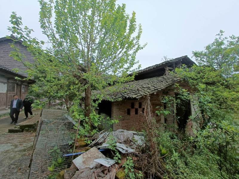长寿区500平养鸡场➕一栋民房，价格优惠