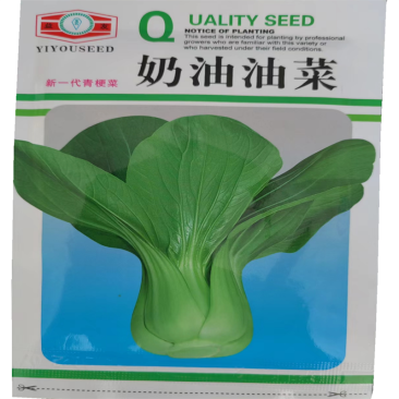 奶油油菜种子高产上海青四季播束腰性好小油菜