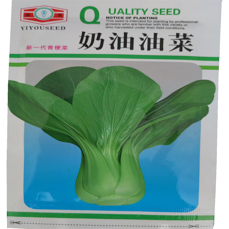 奶油油菜种子高产上海青四季播束腰性好小油菜