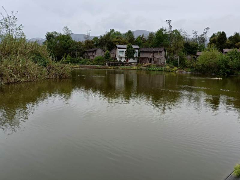 长寿区100亩鱼塘，11口塘连片，有增氧机