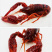 冷冻煮小龙虾