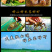 小龙虾尾