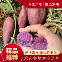 湖北紫薯大量上市品种齐全支持各个包装，可走市场，电商工厂