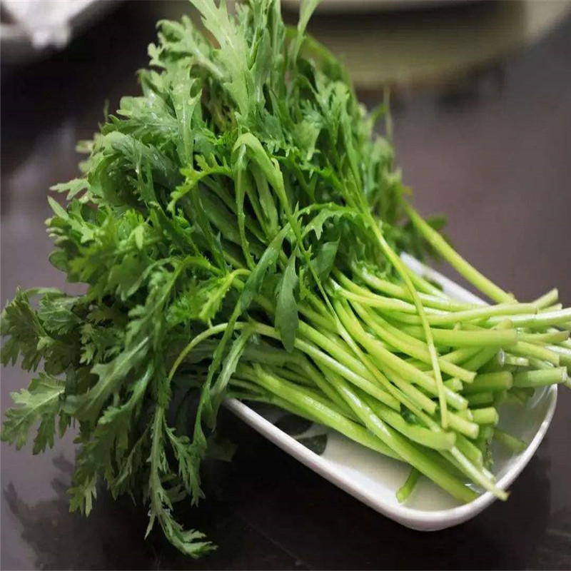 光杆茼蒿种子高产皇帝菜种孑高产秋冬小叶茼蒿菜种子大田种