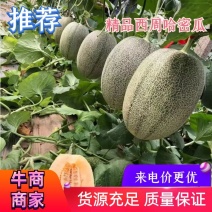 【推荐】山东西周蜜25基地发货质优价廉保质保量