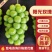 【实力供货】陕西阳光玫瑰葡萄颗粒大糖度高代发全国