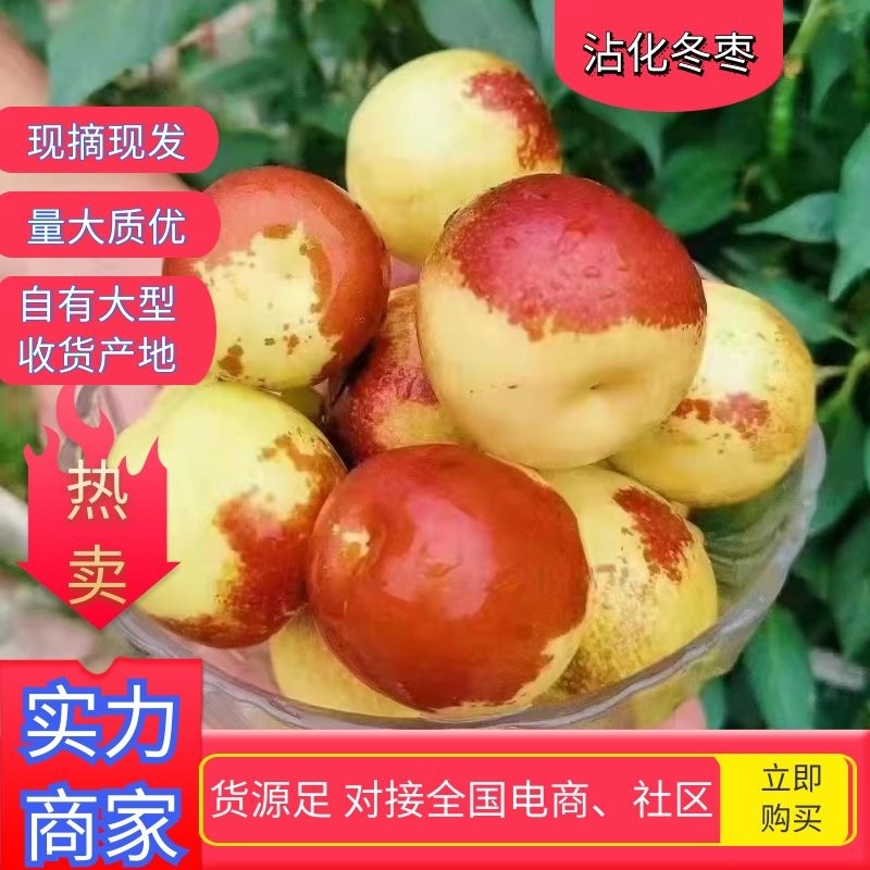 热卖精品沾化冬枣，酥脆甘甜，产地直供，电商对接，欢迎品鉴
