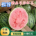 【精品】头茬早春红玉/大棚西瓜大量现货，甘甜多汁量大优惠