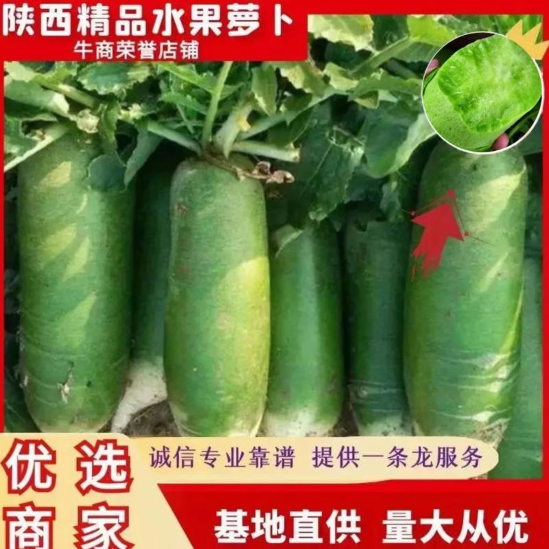水果萝卜产地直供量大从优欢迎采购，诚信代办全国发货