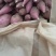 精品红薯商薯19一手货源视频看货品质保证以质论价
