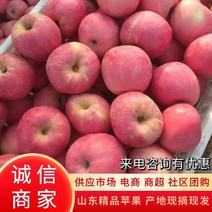【苹果】栖霞红富士苹果脆甜多汁可实地欢迎咨询