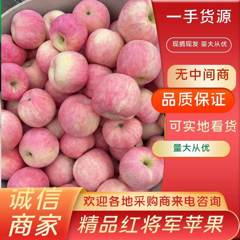 【苹果】栖霞精品红富士苹果现摘现发脆甜可口坏果包赔