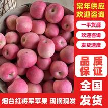 【热卖】苹果山东优质红富士一手货源量大从优欢迎咨