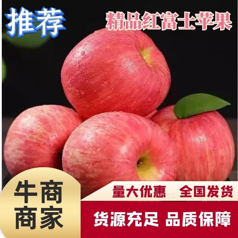 【精品】山东红富士苹果大量上市中一手货源产地欢迎咨询！