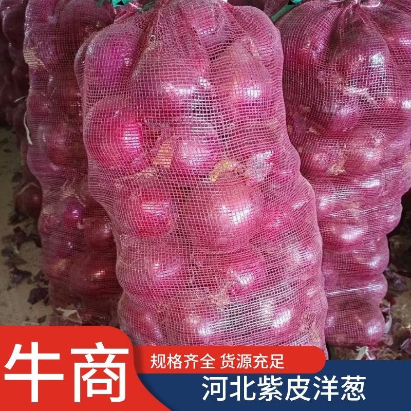 洋葱上市中，黄洋葱，紫洋葱，一年四季供应，现货供应！