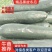 河北唐山精品黑皮冬瓜河北质量好产地直发价优
