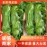【鲜辣椒】山东精品薄皮椒现摘现发供应各大市场电商商超