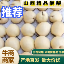 【精品推荐】山西优质酥梨，口感甘甜，大量现货量大从优