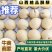 【精品推荐】山西优质酥梨，口感甘甜，大量现货量大从优