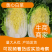 【牛商商家】精品东北黄心包心菜，货源充足，产地发货，质量保证