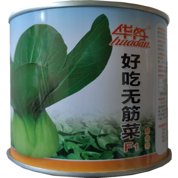 好吃无筋菜青梗菜种子矮脚小油菜种子夏季高产上海鸡毛菜种子
