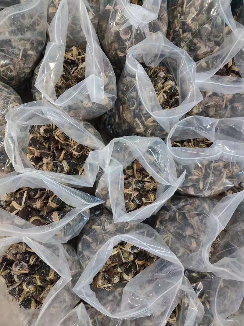 大量现货陈皮咸橄榄三宝扎三宝茶厂家批发资质齐全