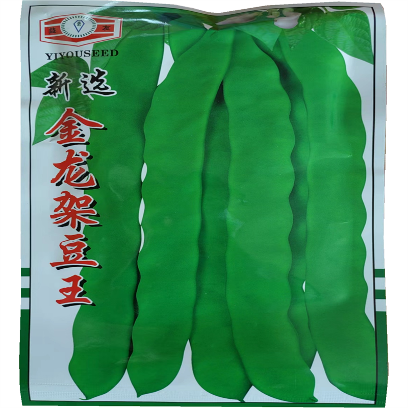 金龙架豆王种子架豆种子高产芸豆种子宽油豆角种子扁豆角