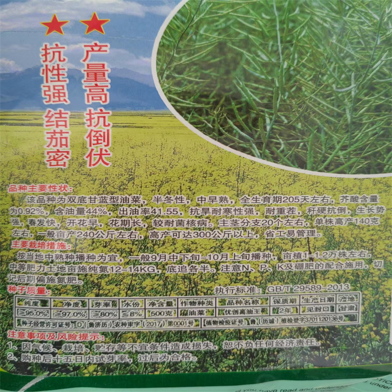 油菜种子优创高油王油菜种子耐寒抗倒早熟高产油率高油菜花