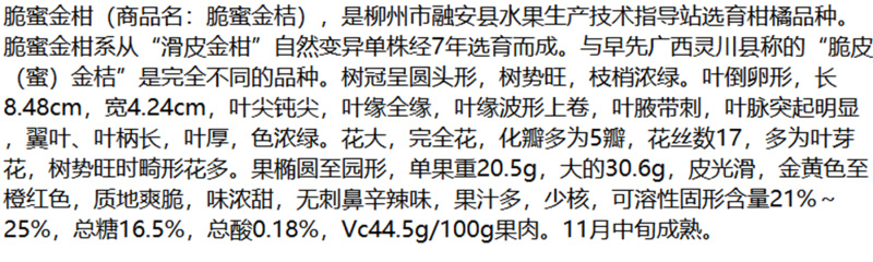 新品种大果滑皮蜜糖无核无籽脆蜜金柑苗金蛋弹脆密金桔树苗