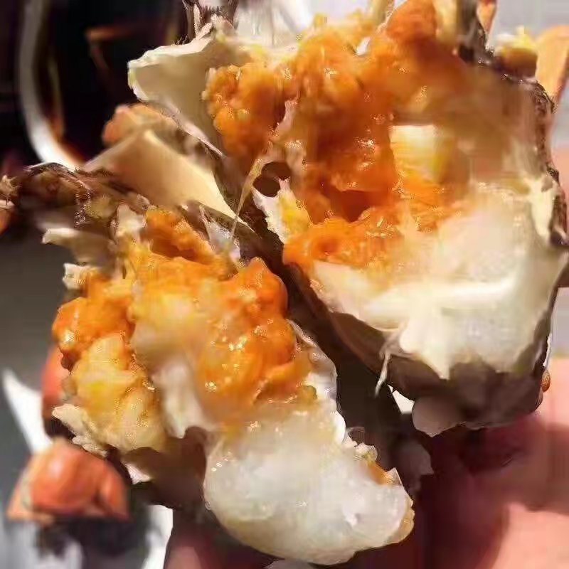 【精品】洪湖精品大闸蟹大量上市规格齐全全国包邮