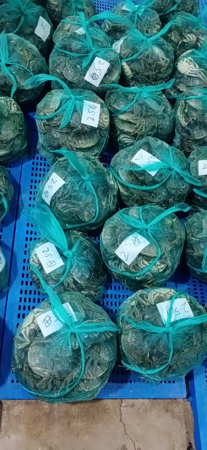 【精品】洪湖精品大闸蟹大量上市规格齐全全国包邮