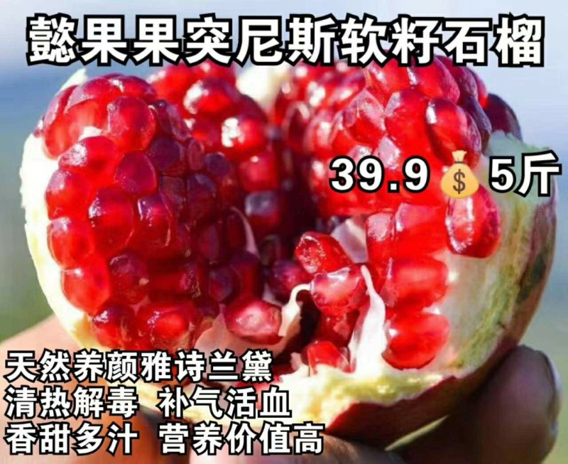 突尼斯软籽石榴苗石榴苗根系发达丰产性好现挖现发